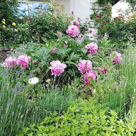 ホームステイ Ferienhaus Thea In Der Rhon Kilianshof